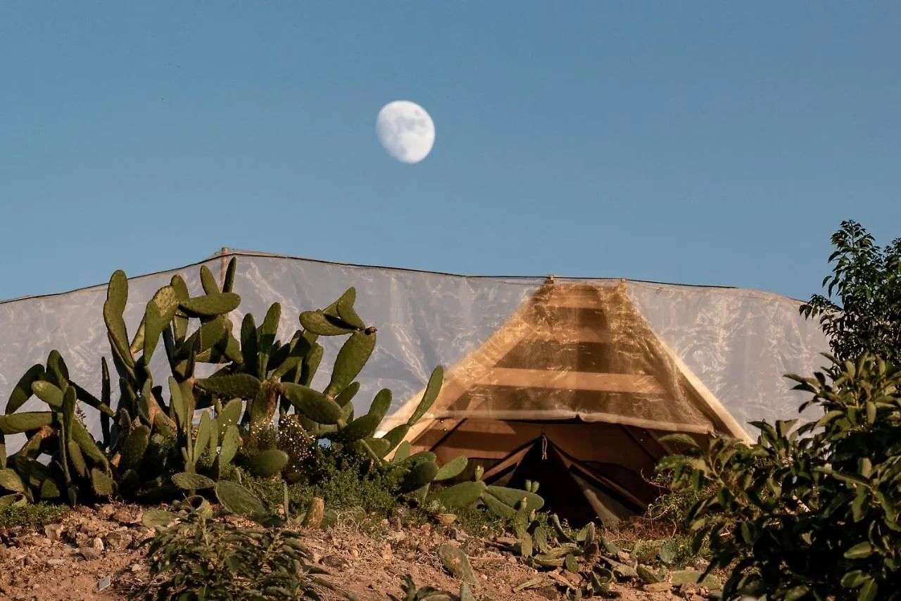 Venkovský dům Finca Gaia La Segunda Guía de Isora