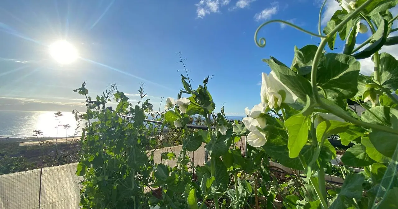 Finca Gaia La Segunda Guía de Isora Venkovský dům