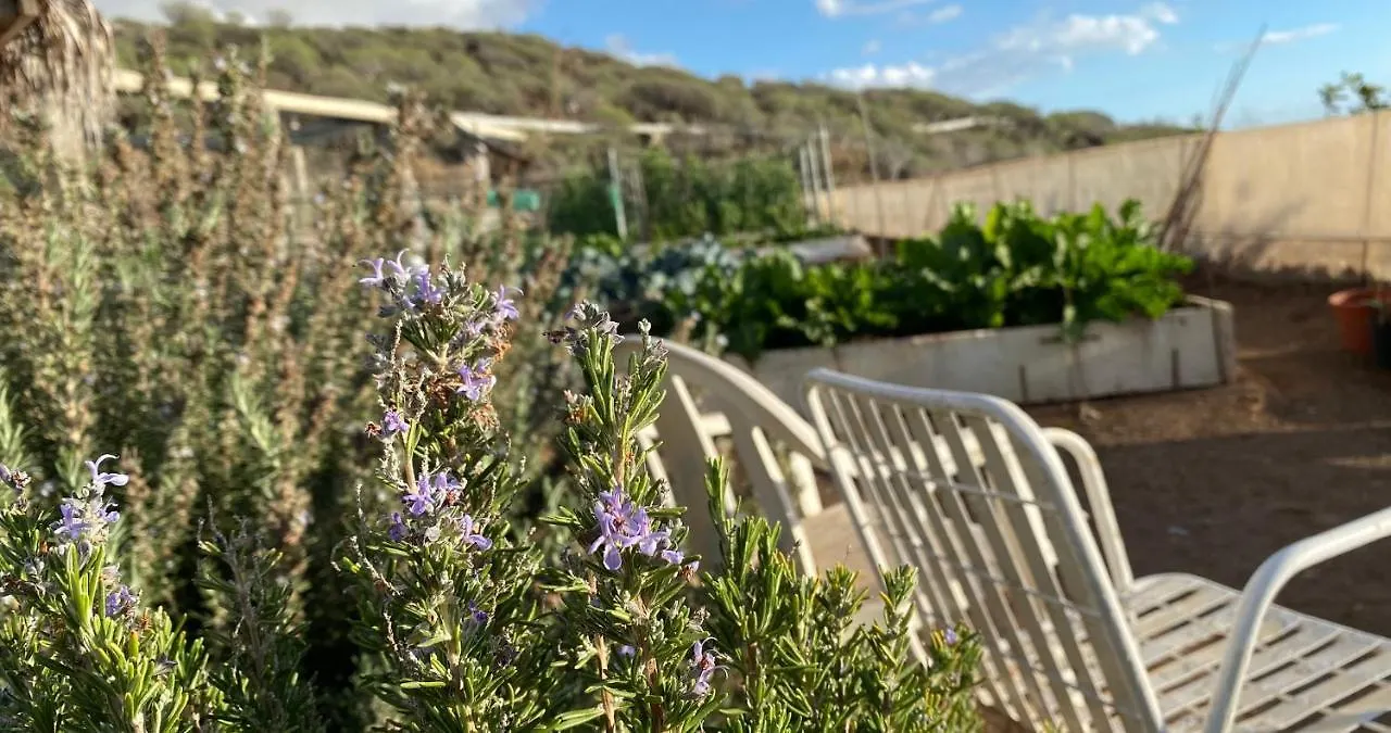 Finca Gaia La Segunda Guía de Isora Venkovský dům