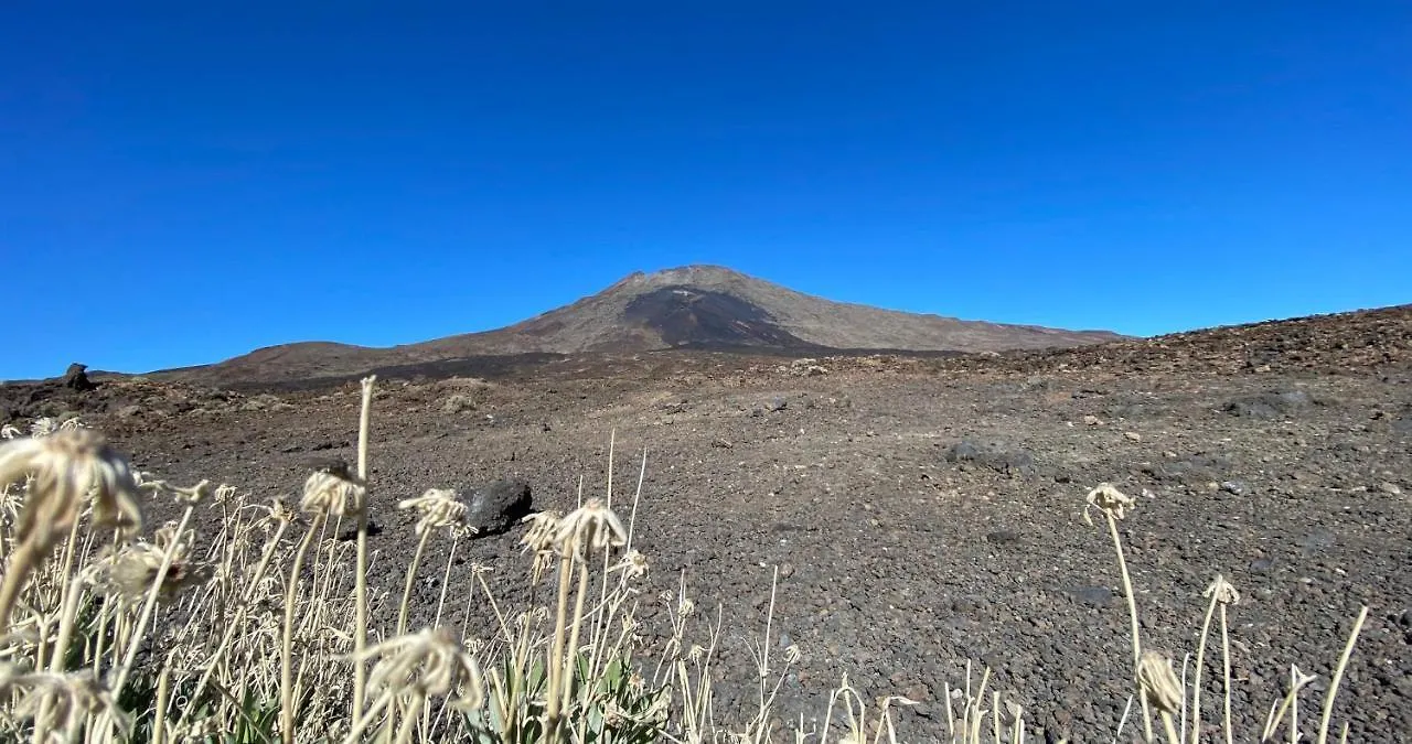 Lantställe Finca Gaia La Segunda Guía de Isora Spanien