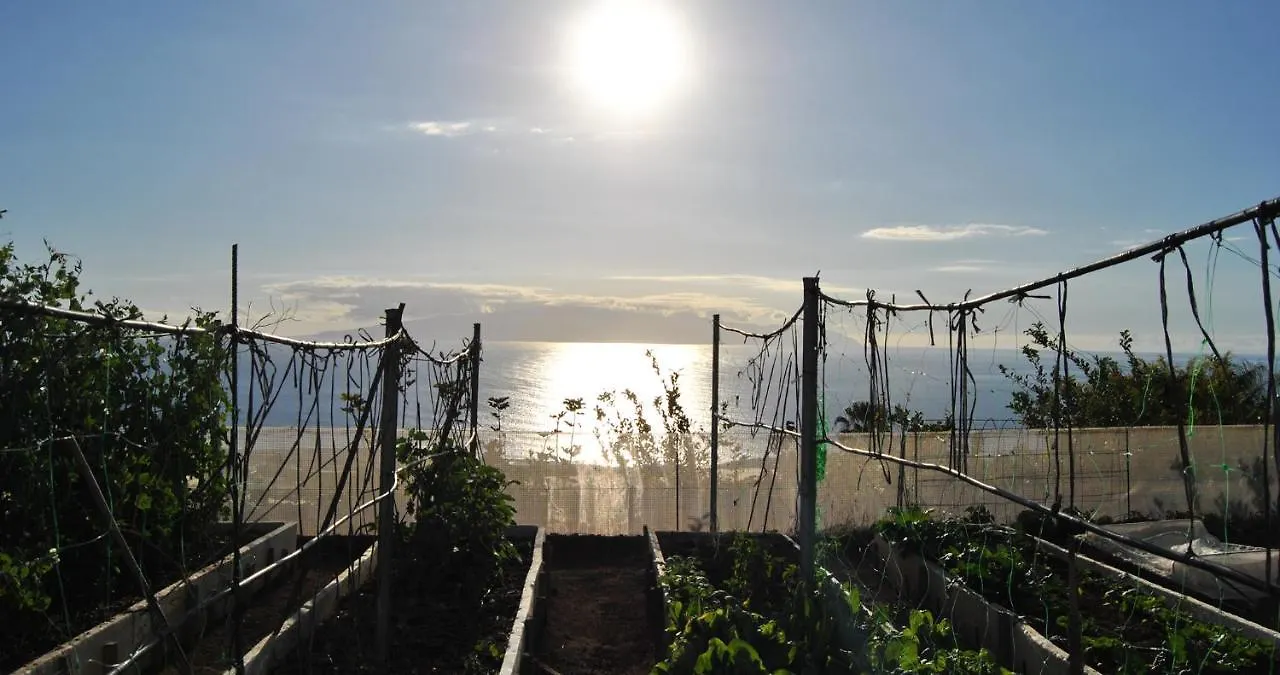 Finca Gaia La Segunda Guía de Isora Spanien